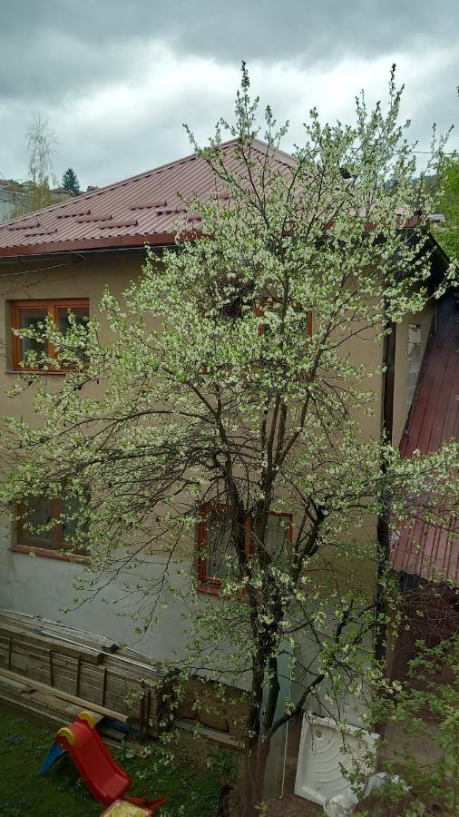Mahala Apartments - Free Garage Sarajevo Exterior photo